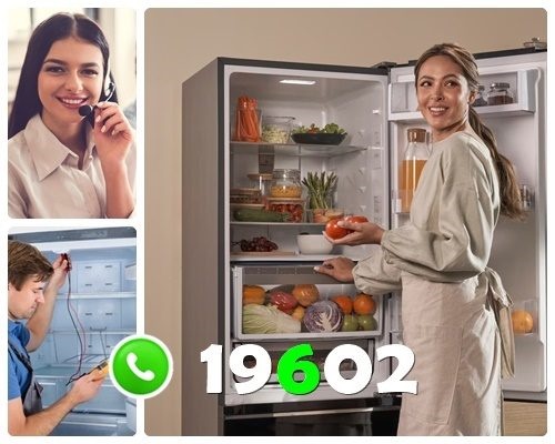 مركز صيانة زانوسي بالاسكندرية
